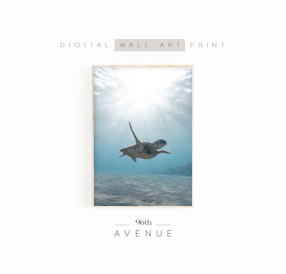 Sea Turtle Print Coastal Prints Photography Underwater Photo Wall Art Sea Animal Print
