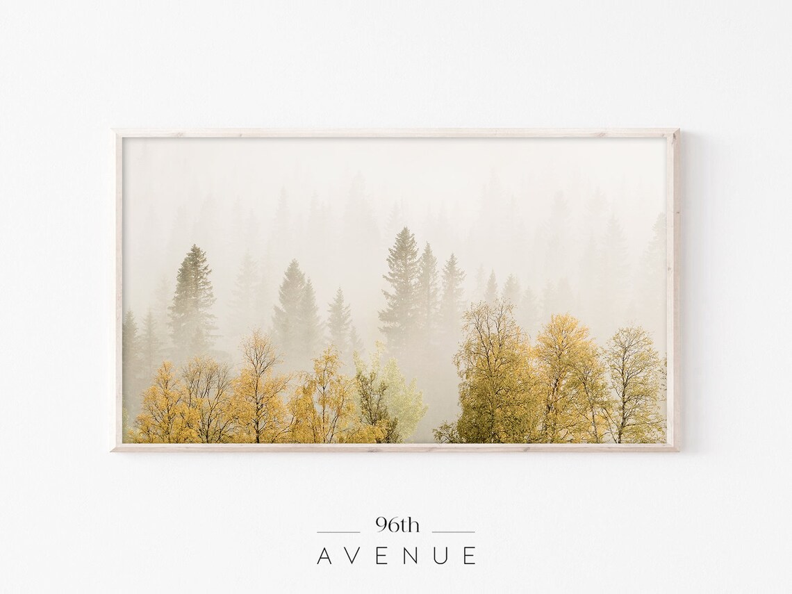 Misty Autumn Birch Forest in Golden Fog Woodland Artwork Poster