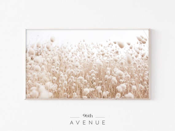 Beach Grass and Pampas Grass Farmhouse Art Print