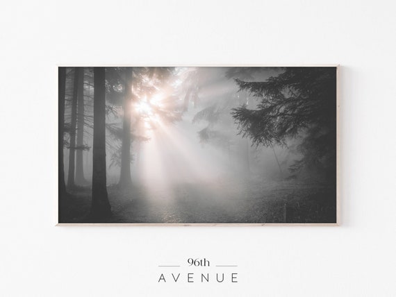 Dark Forest Art for Smart TV