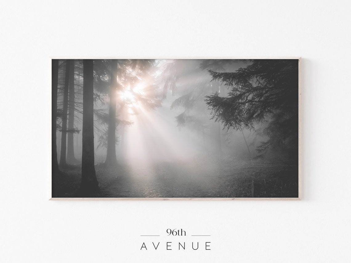 Dark Forest Art for Smart TV