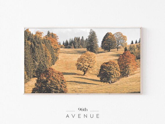 Autumn Forest Landscape Art Print