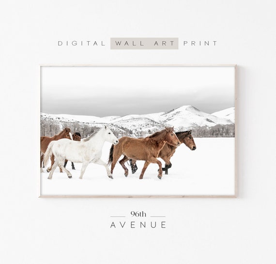 Winter Horses Photography, Farmhouse Holiday Decor