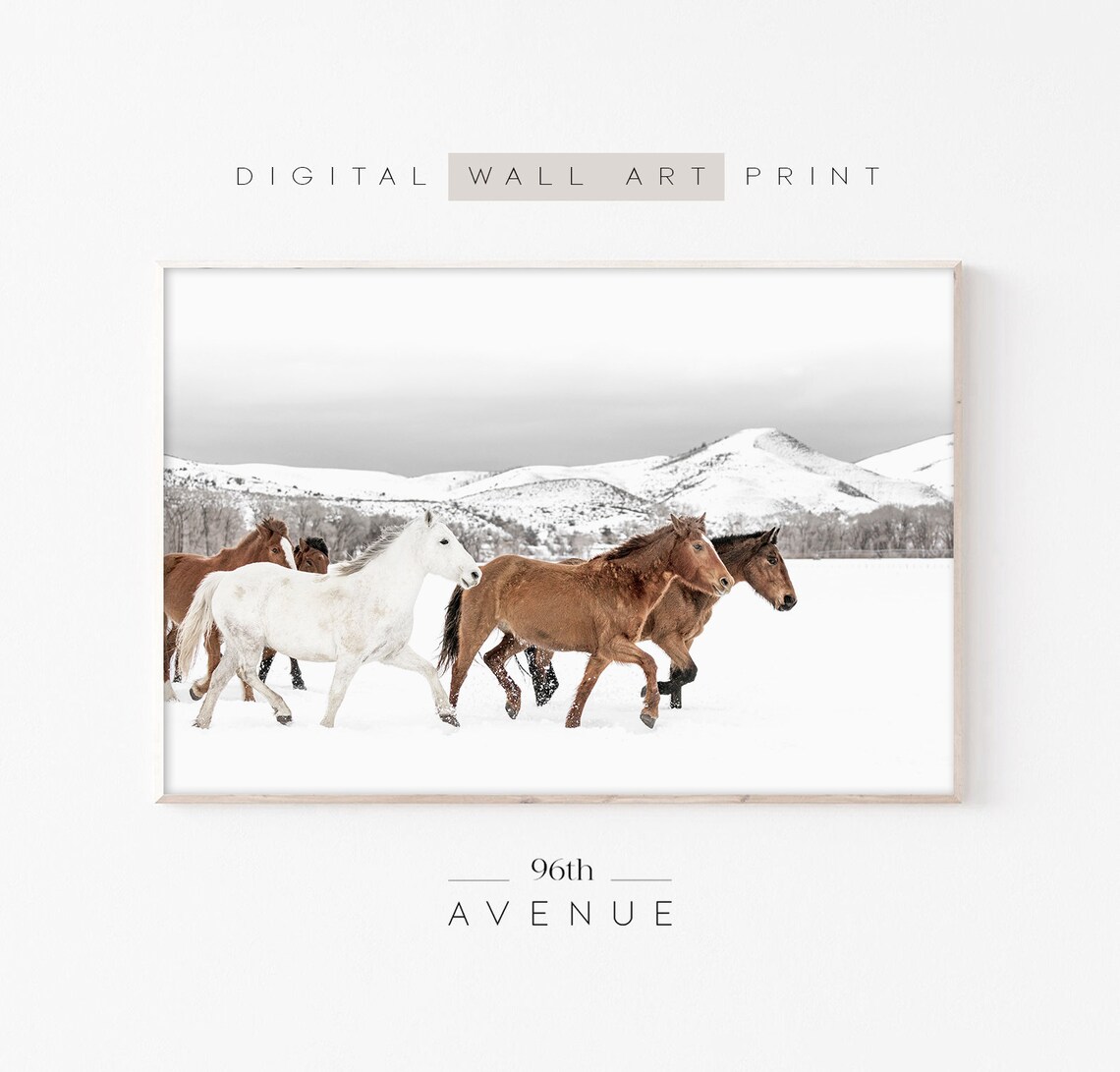 Winter Horses Photography, Farmhouse Holiday Decor