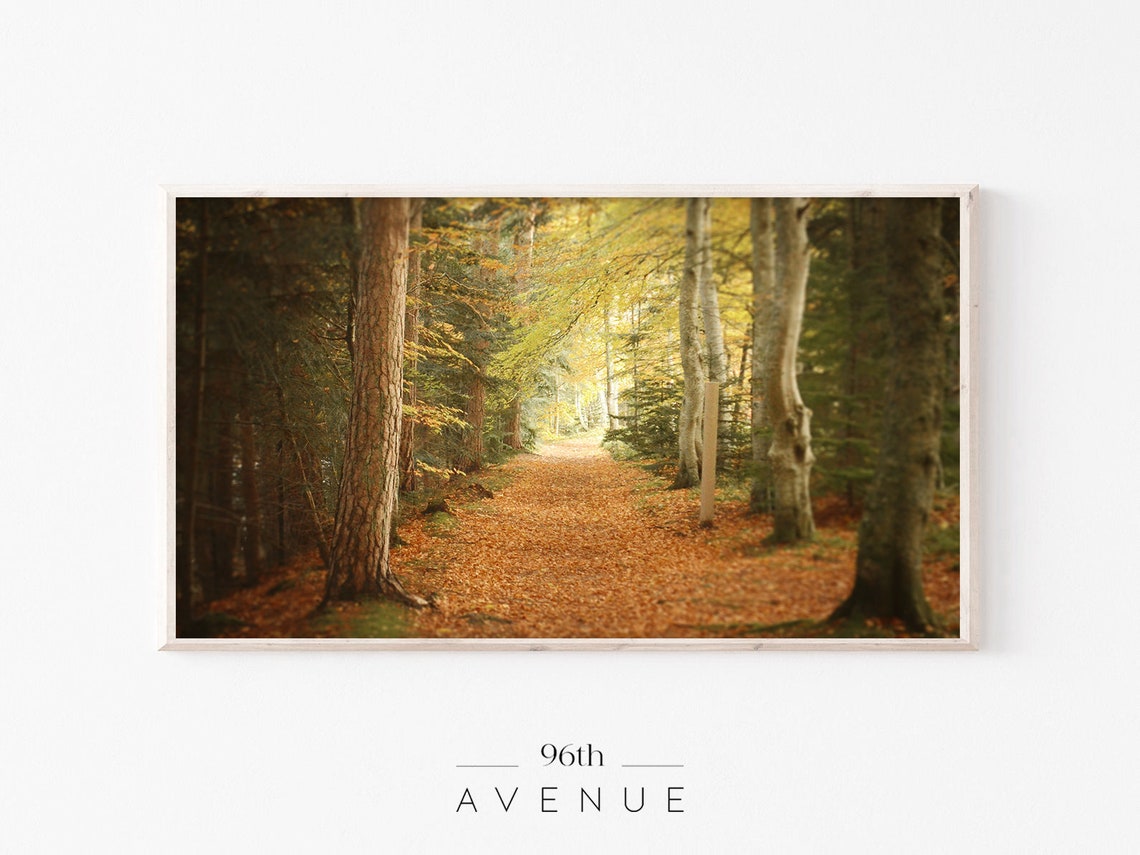 Autumn Forest Fall TV Art
