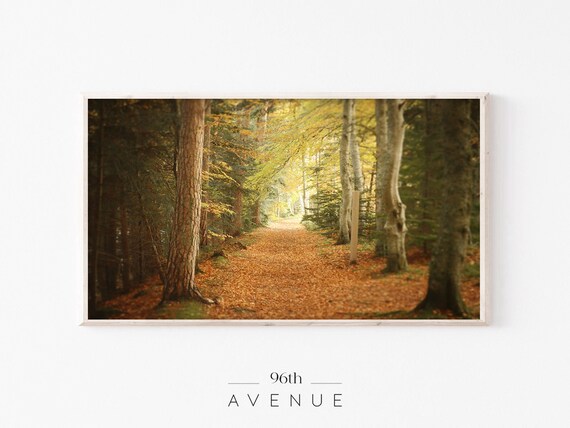 Autumn Forest Fall TV Art