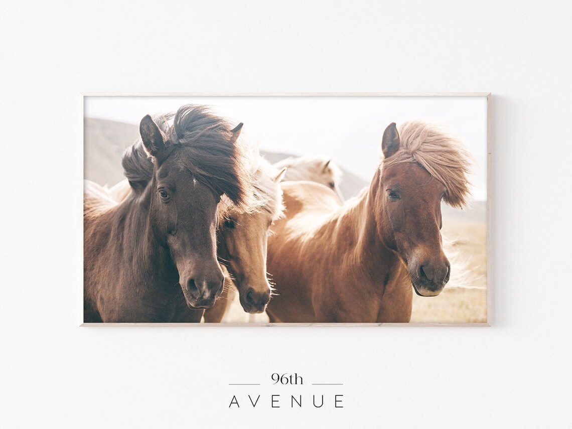 Icelandic Horse Photography Wall Art Print