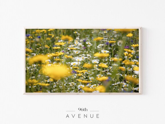 Colorful Wildflower Meadow Yellow White Blue Summer Blooms Poster