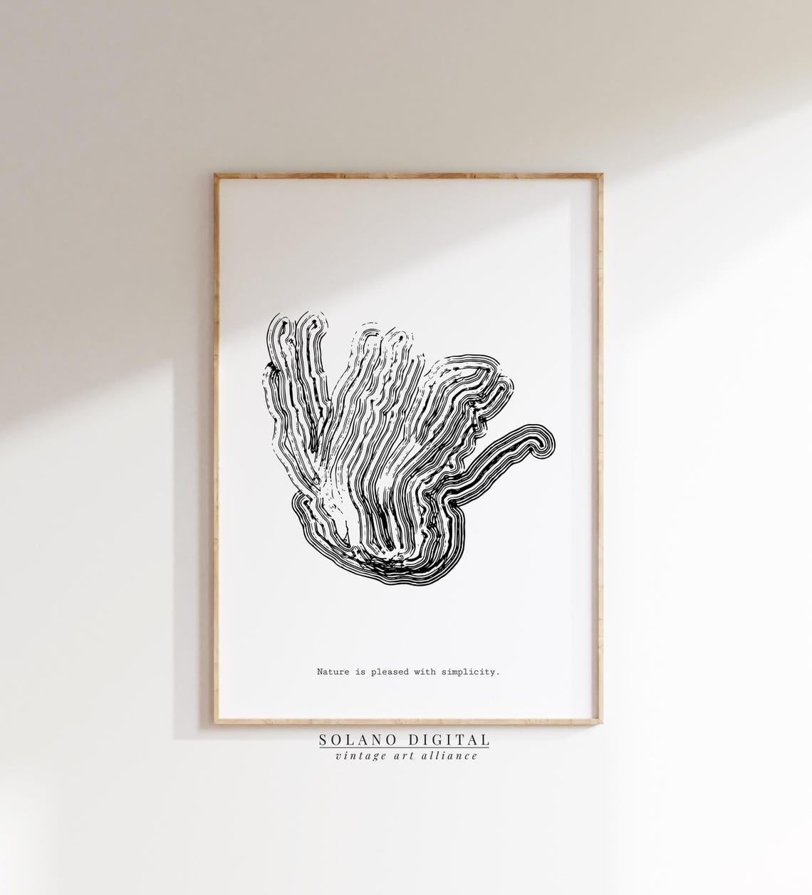 Nature Is Pleased With Simplicity Coral Line Art Quote Poster
