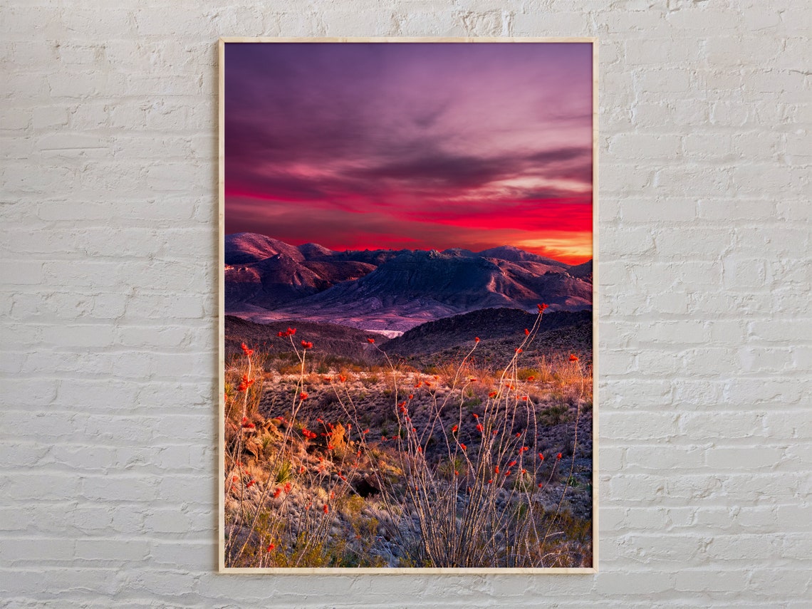 Big Bend National Park Desert Sunset Pink Sky Wildflowers Photo Poster