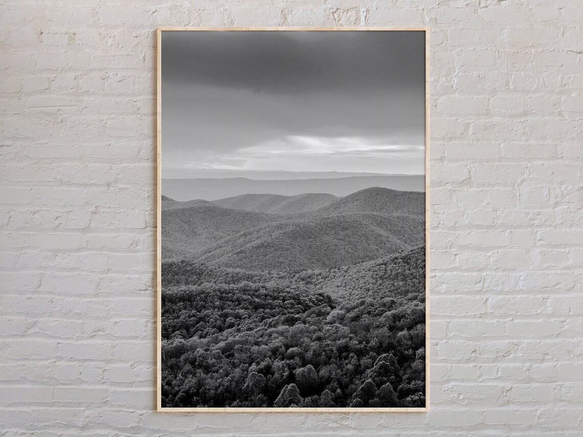 Shenandoah National Park Black and White Poster