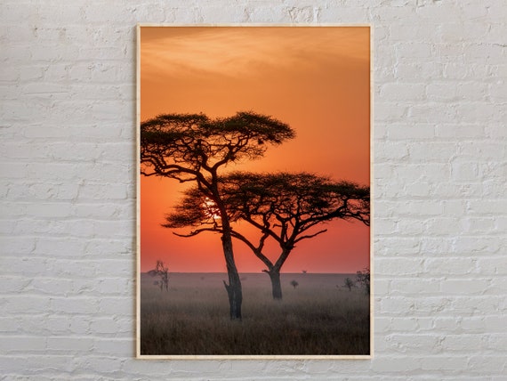 Real Photo Tanzania Print Wall Art Poster Decor Africa