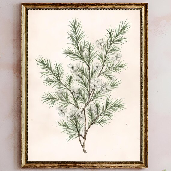 Elegant Vintage Christmas Botanical Wall Art Poster Fir Mistletoe Print Minimalist Holiday Home Decor