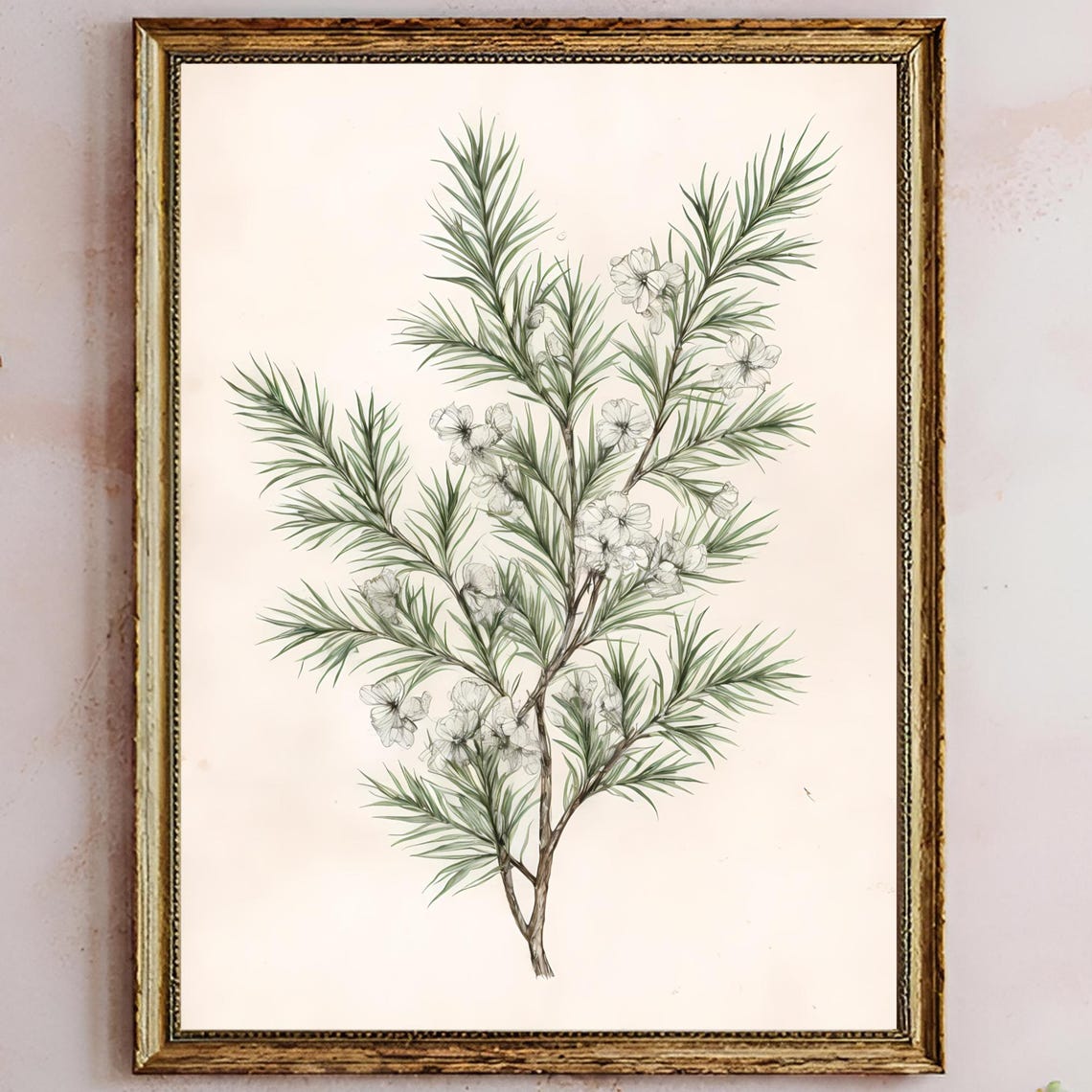Vintage Evergreen Fir Botanical Blossom Elegant Holiday Art Poster