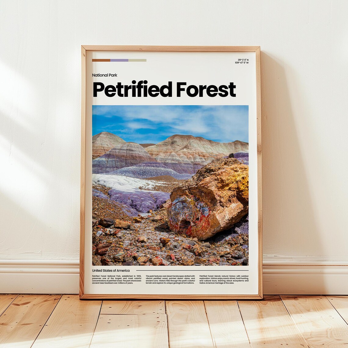 Petrified Forest Poster Print Photo National Park Travel Gift