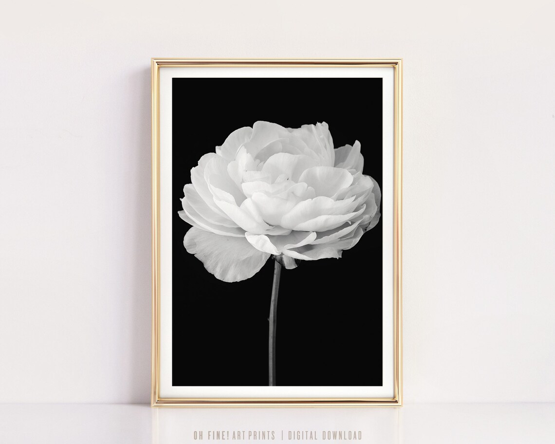 Peony Black and White Vertical Flower Art Print - Image 4