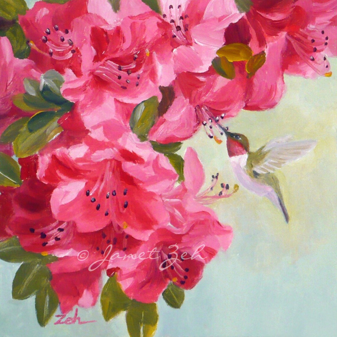 Hummingbird and Azalea Flowers, Janet Zeh Art Print