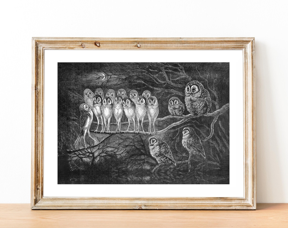 Louis Wain Jury of Owls Night Branch Black White Illustration Print