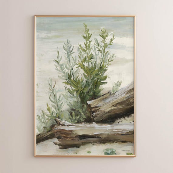 Printed Sage Plant By Driftwood Coastal Wall Art Rustic Botanical Painting Muted Green Nature Decor Farmhouse Print P443