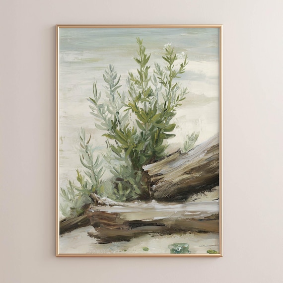 Sage Plant and Driftwood Rustic Botanical Coastal Painting Poster