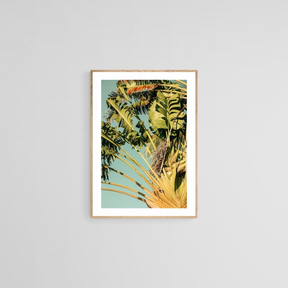 Palm Tree Tropical Botanical Art Print