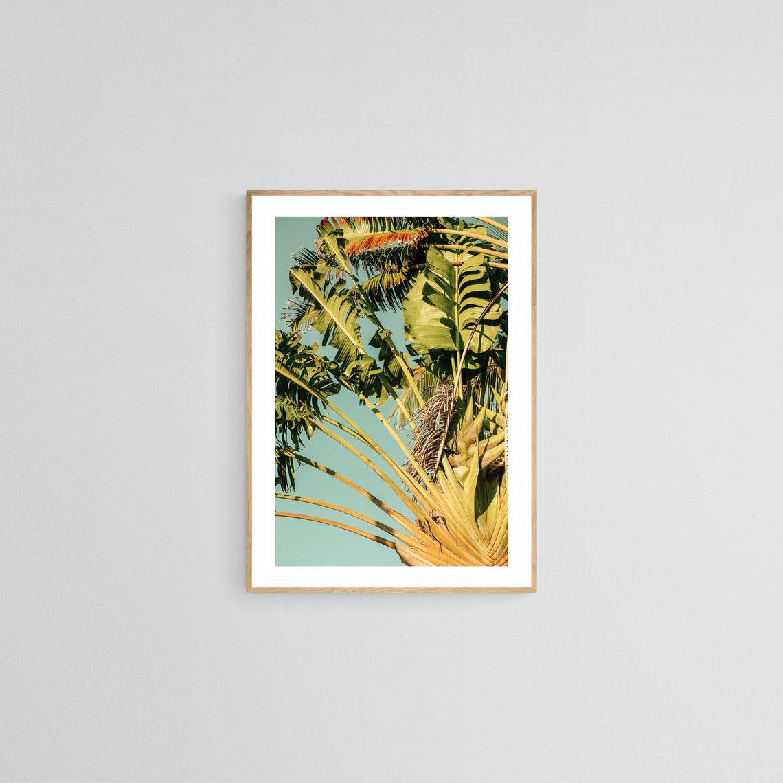 Palm Tree Tropical Botanical Art Print