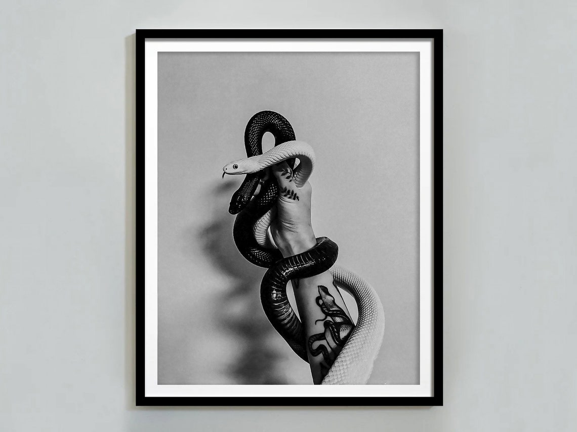 Snakes Coiled Around Tattooed Arm Black and White Art Photo Poster