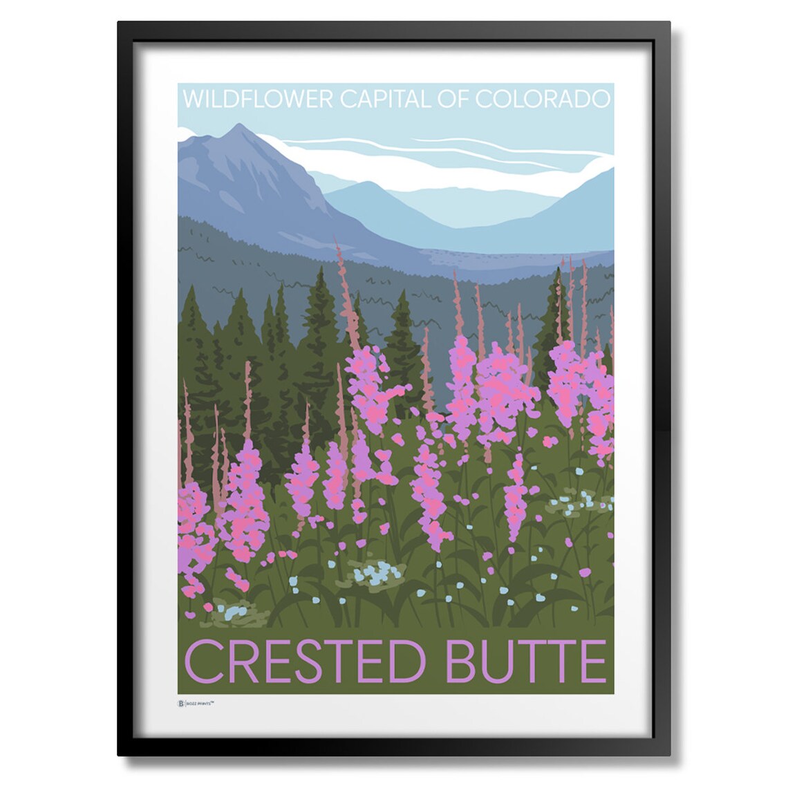 Crested Butte Wildflowers Art Print