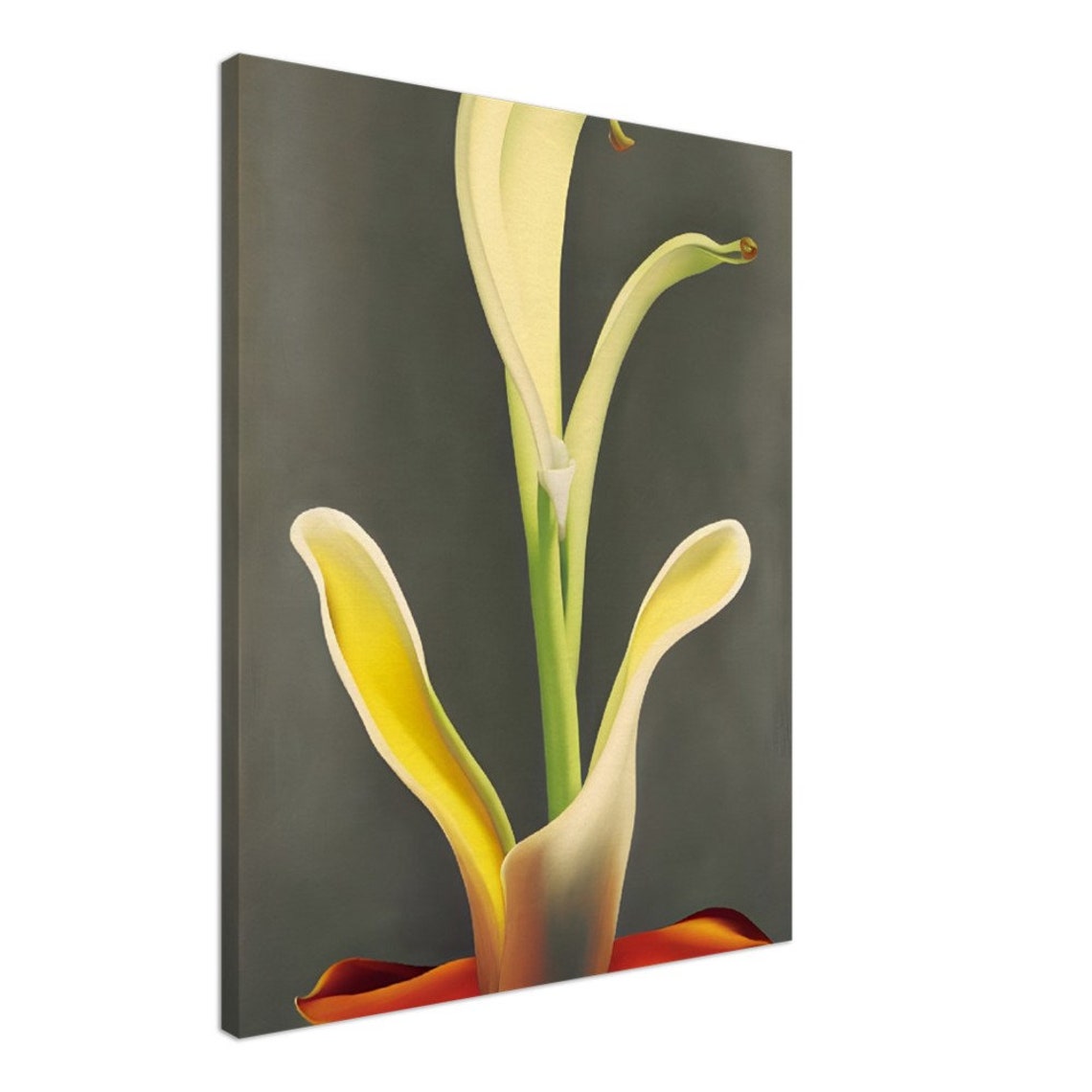 Yellow Calla Lily Fire Bloom Modern Minimal Botanical Art Poster - Image 2