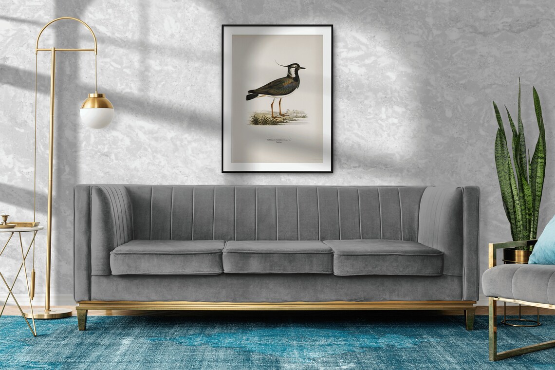 Lapwing Bird Vintage Nature Art Print Poster - Image 2