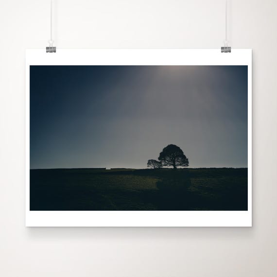 Peak District Tree Photograph Derbyshire Dales Landscape Art Print