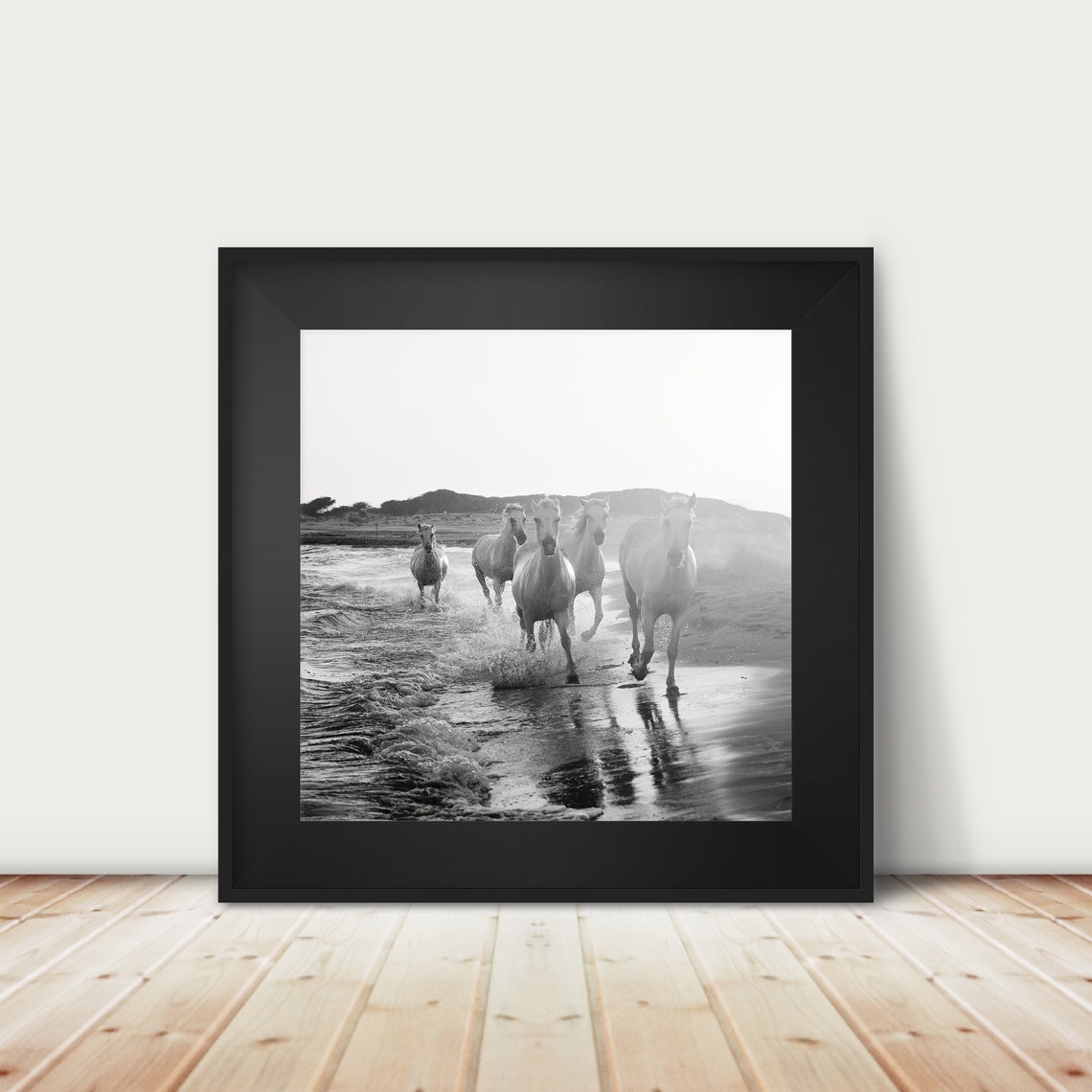 Camargue White Horses Galloping Through Surf Black White Photo Poster