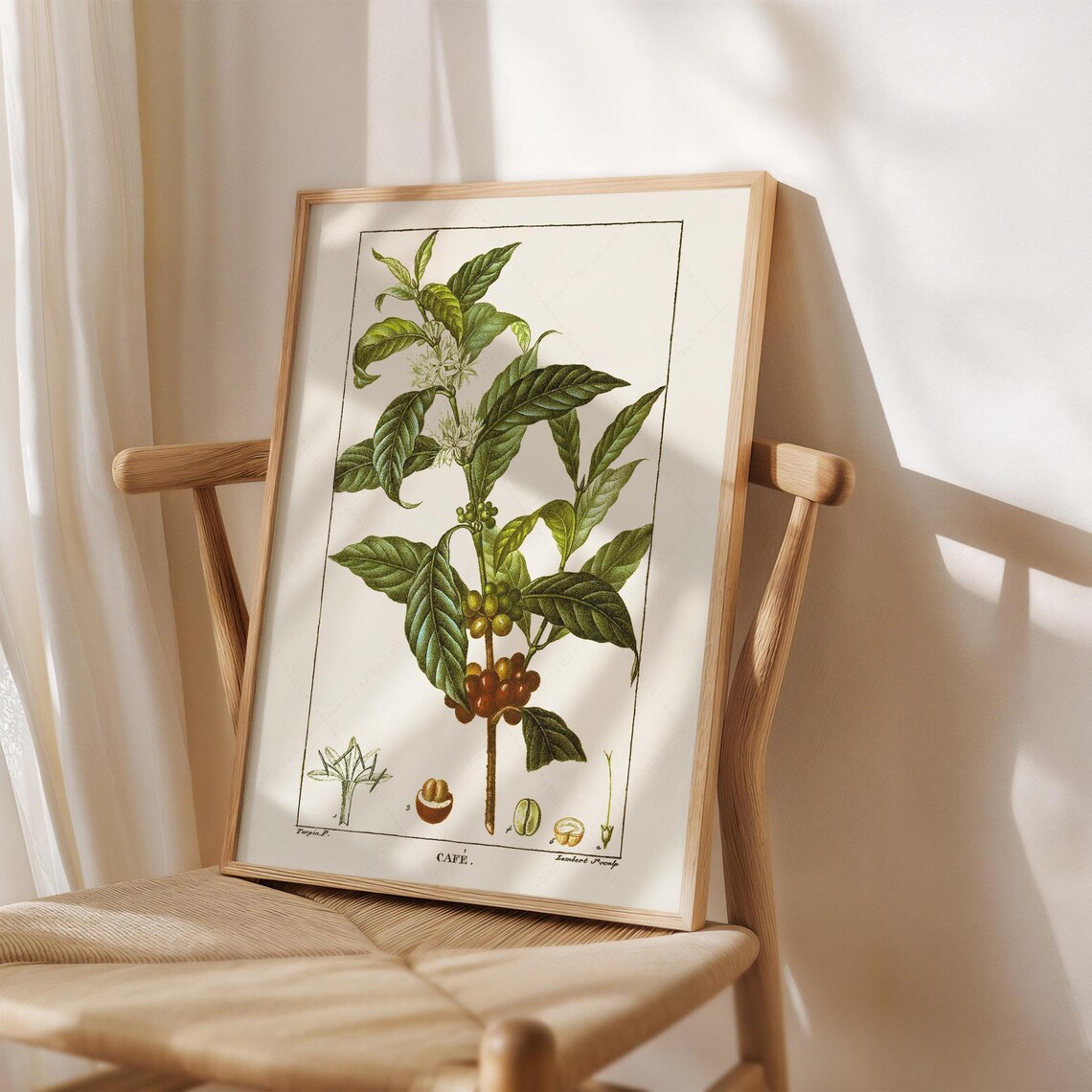 Coffea Arabica Botanical Poster, Kitchen Wall Art Print - Image 3