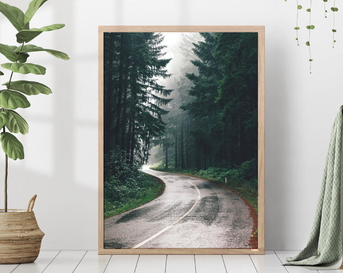 Forest Road Spruce Trees Nordic Nature Art Print
