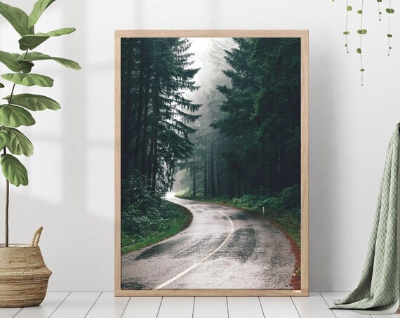 Forest Road Spruce Trees Nordic Nature Art Print