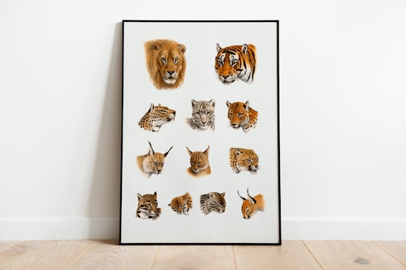 Vintage Wild Cat Heads Chart Lion Tiger Leopard Species Art Print