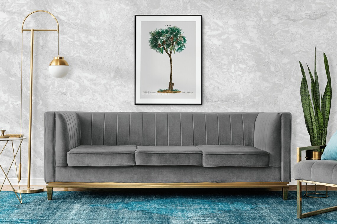 Date Palm Phoenix Dactylifera Vintage Botanical Illustration Poster - Image 2