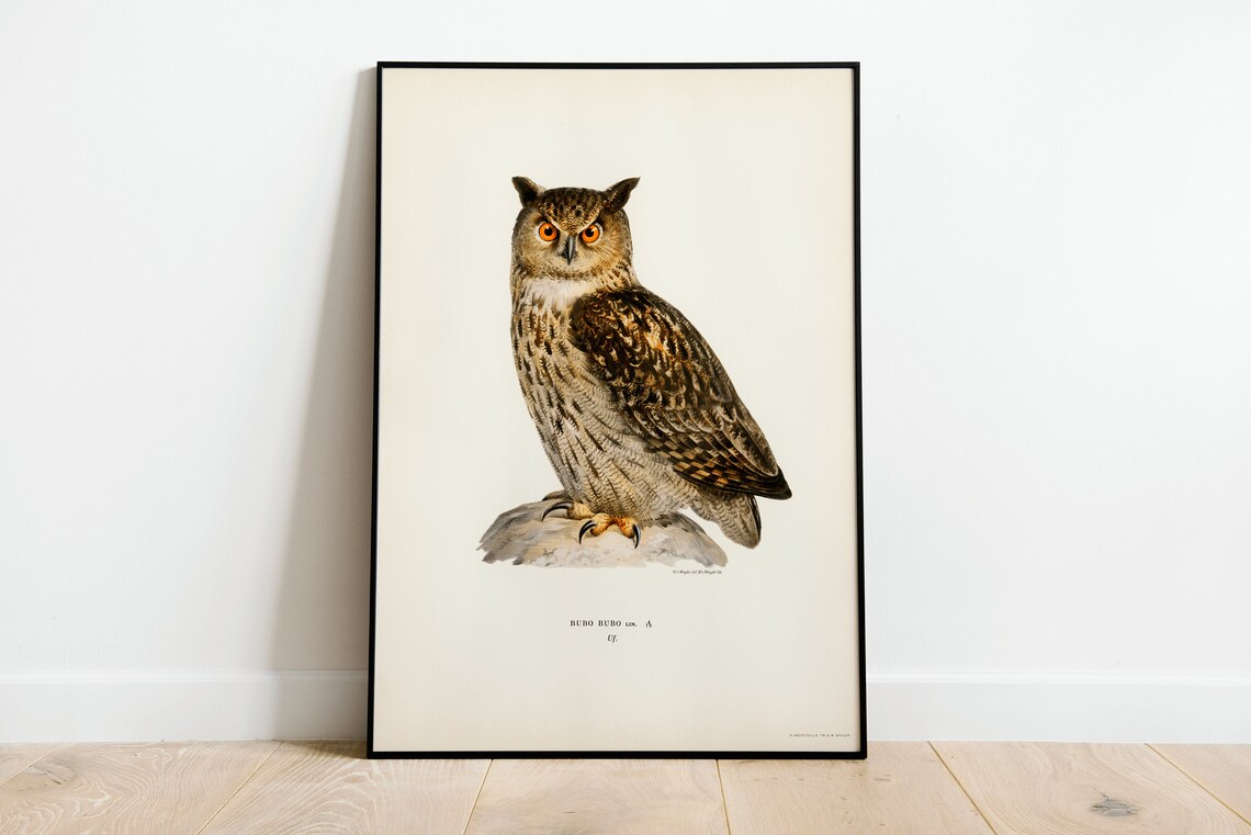 Eurasian Eagle Owl Perched Vintage Naturalist Bird Of Prey Poster