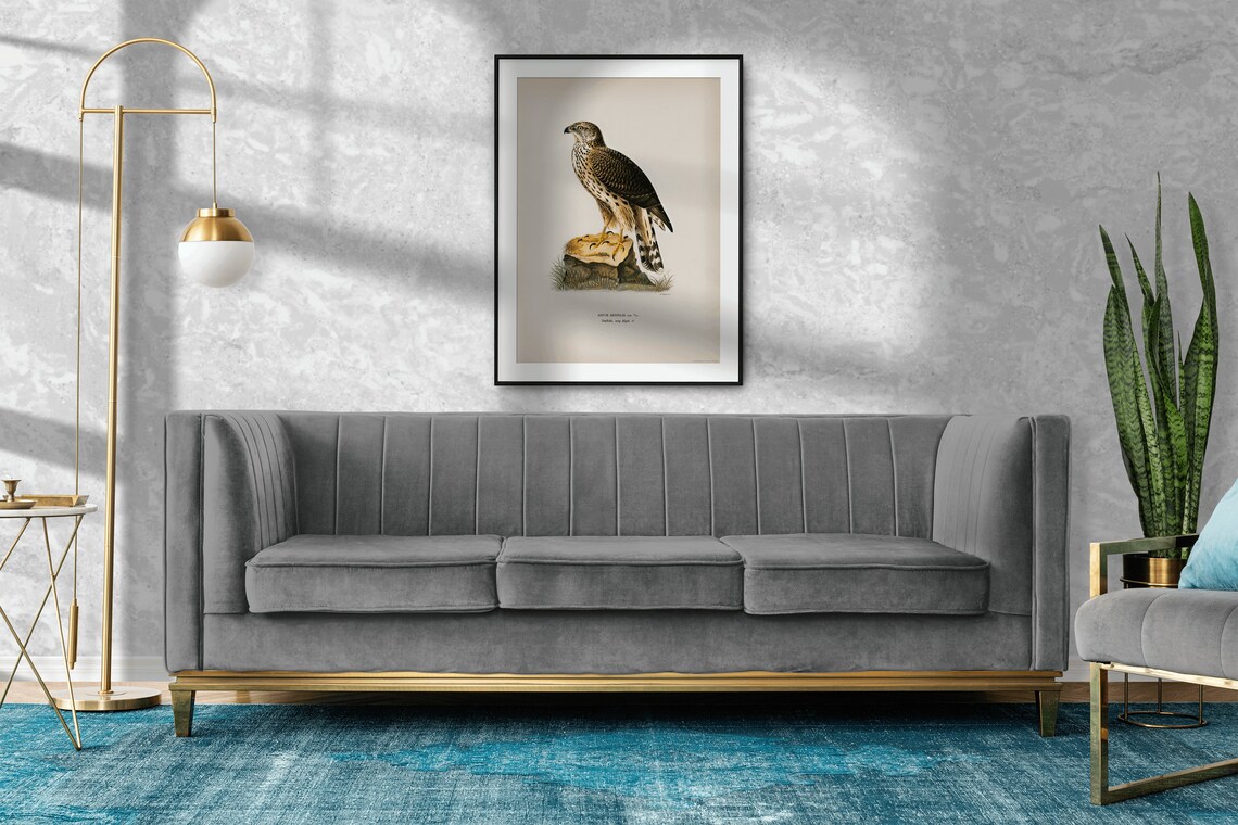 Goshawk Male Bird of Prey Vintage Nature Poster - Image 2