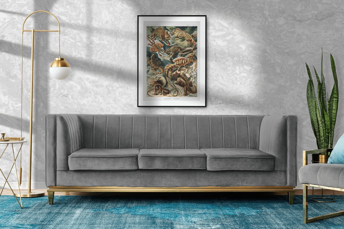 Ernst Haeckel Reptiles Vintage Art Deco Print - Image 2