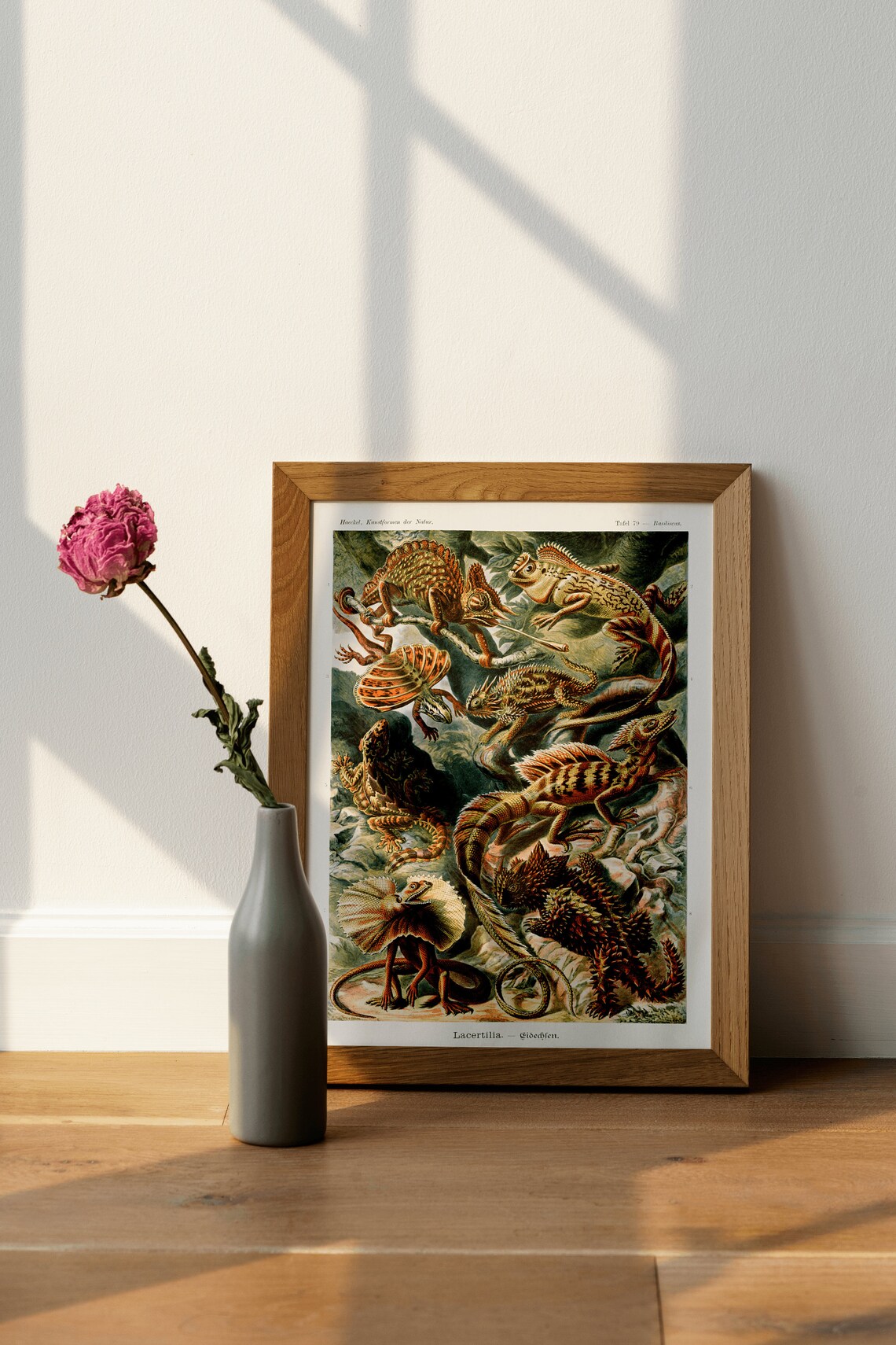 Ernst Haeckel Reptiles Vintage Art Deco Print - Image 4