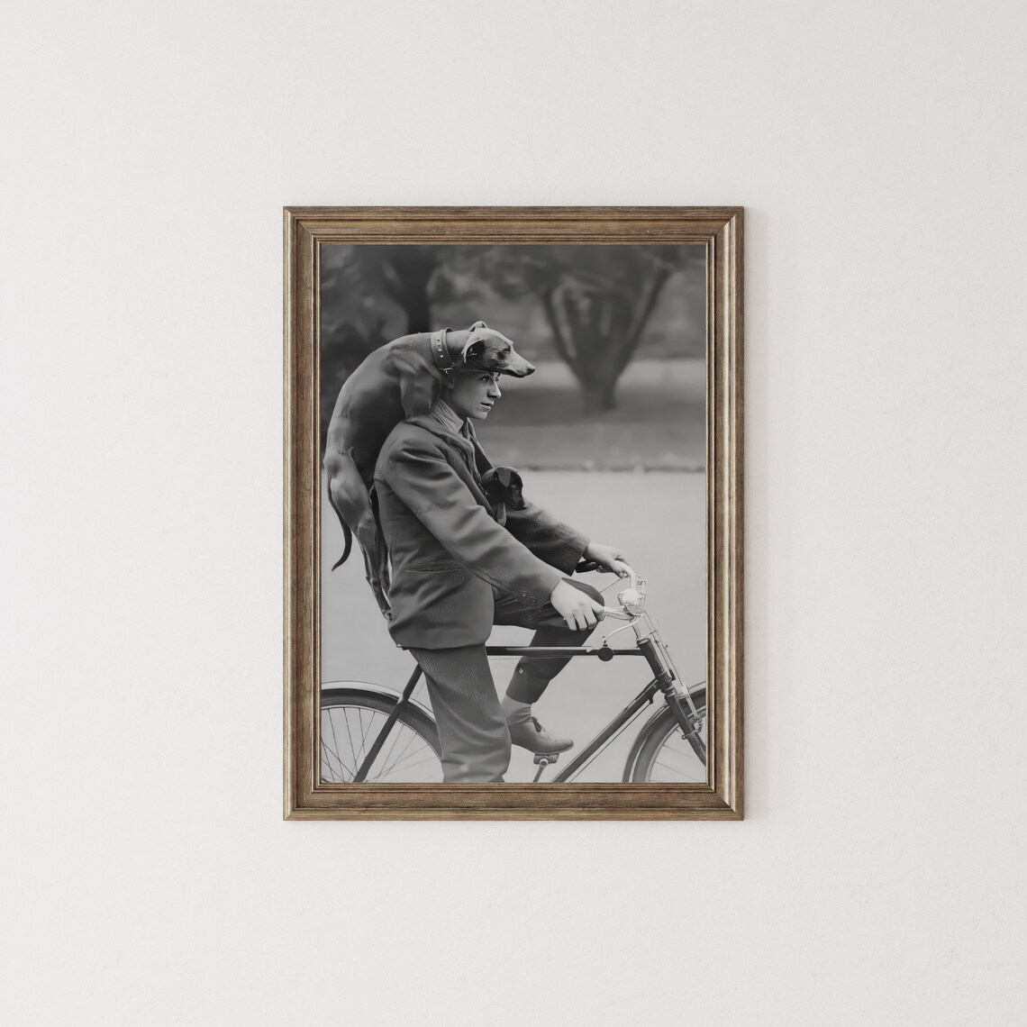 Man On Bike With Two Dogs, Vintage Dog Print - Image 3