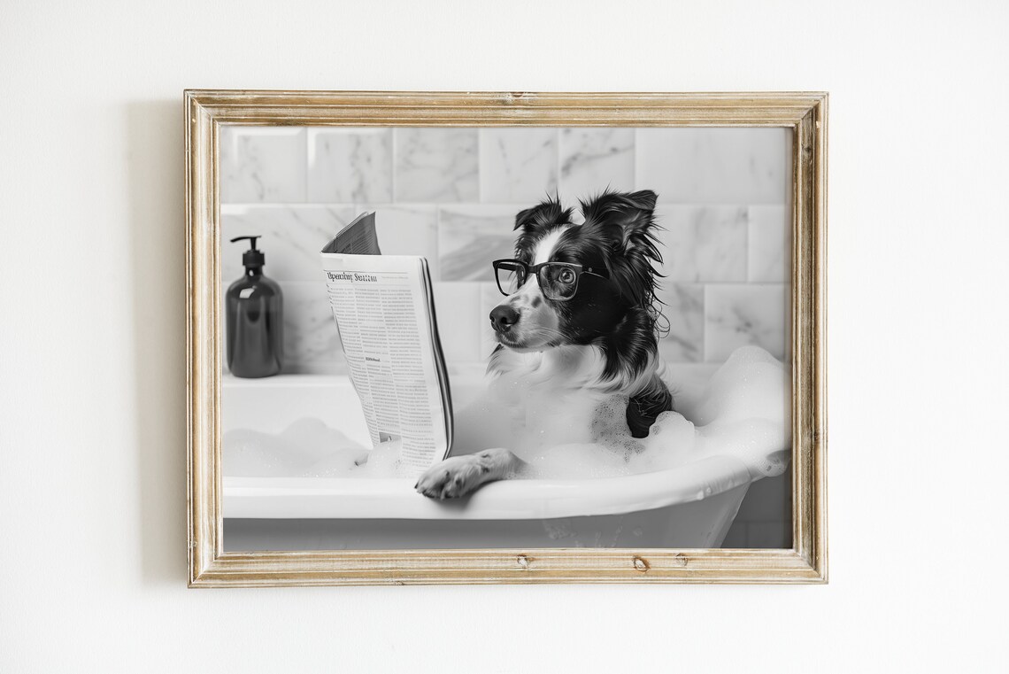 Border Collie in Bathtub, Funny Bathroom Art Print - Image 3