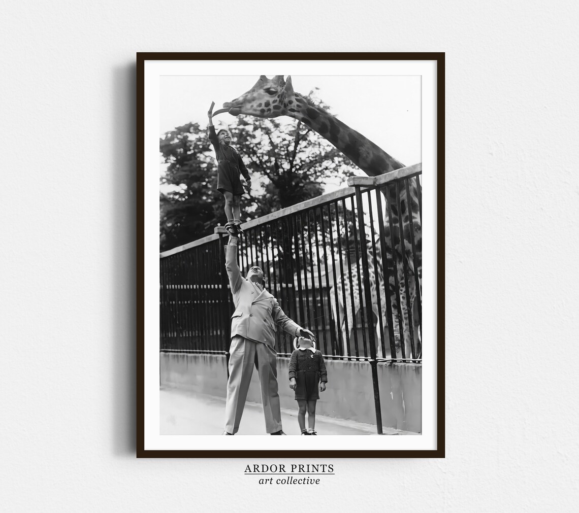 Boy Feeding Giraffe at the Zoo Vintage Black and White Photo Poster