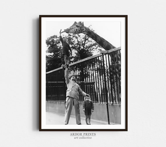 Boy Feeding Giraffe at the Zoo Vintage Black and White Photo Poster