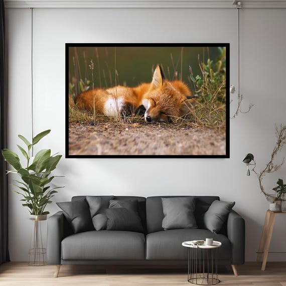 Sleeping Fox Canvas Animal Home Decor Wall Art Modern Print Painting Abstract For