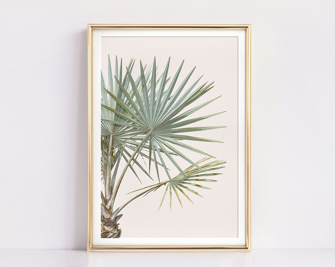 Silver Fan Palm Leaves Blush Botanical Tropical Photography Poster