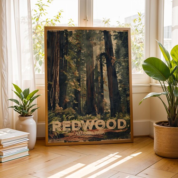 Redwood National Park Towering Trees Sunlit Forest Vintage Travel Poster