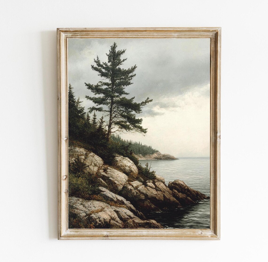 Vintage Pine On The Coast Seascape Art Print