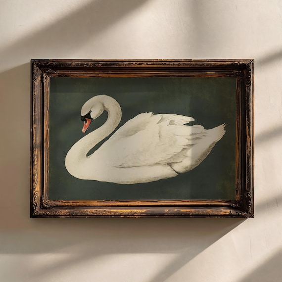 Antique White Swan Painting Print Elegant Vintage Bird Art on Green Decor